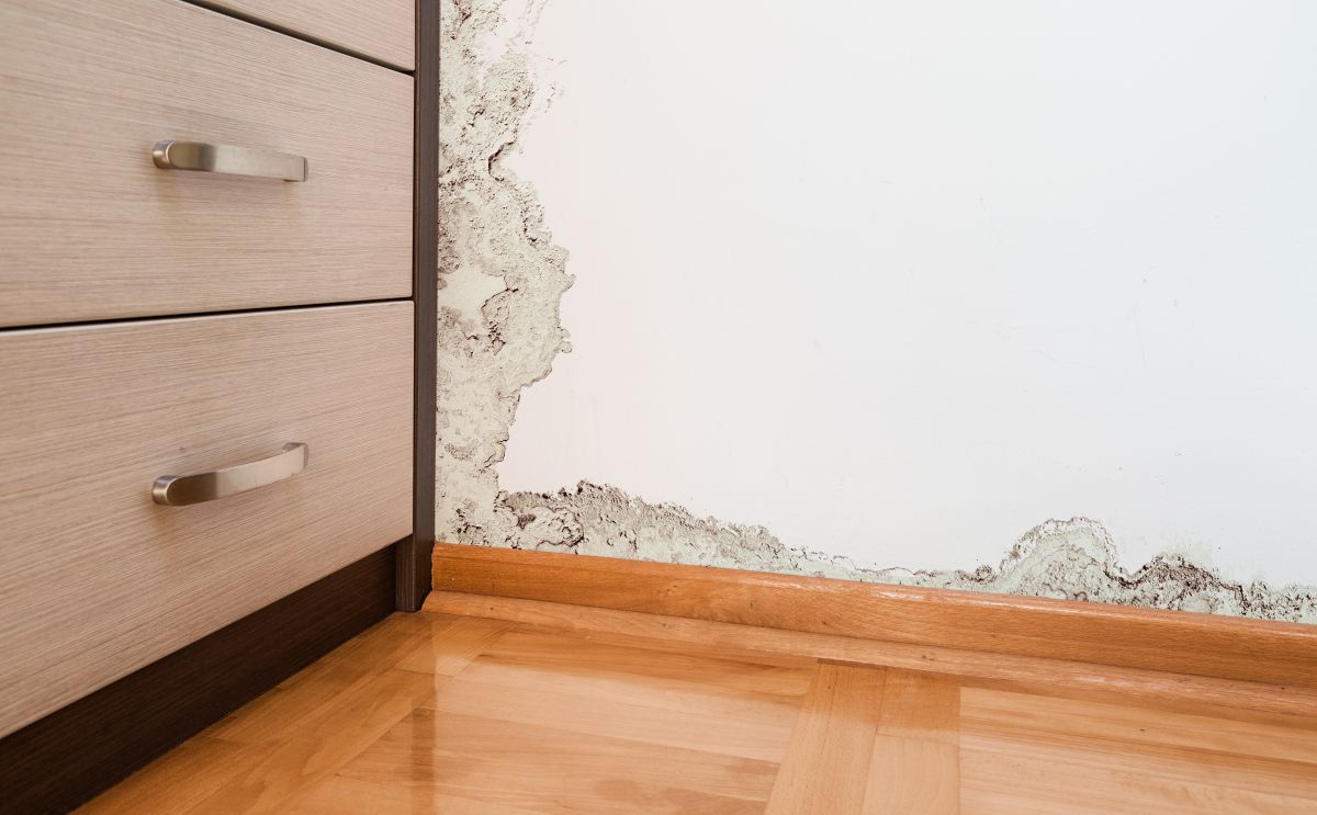 Water Damage Retoration,