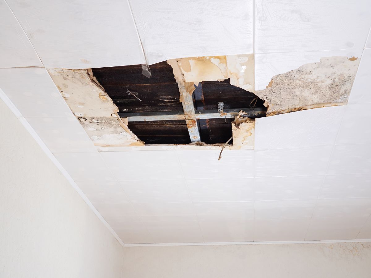 Water Damage,